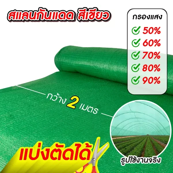 แสลนสีเขียว 2 เมตร