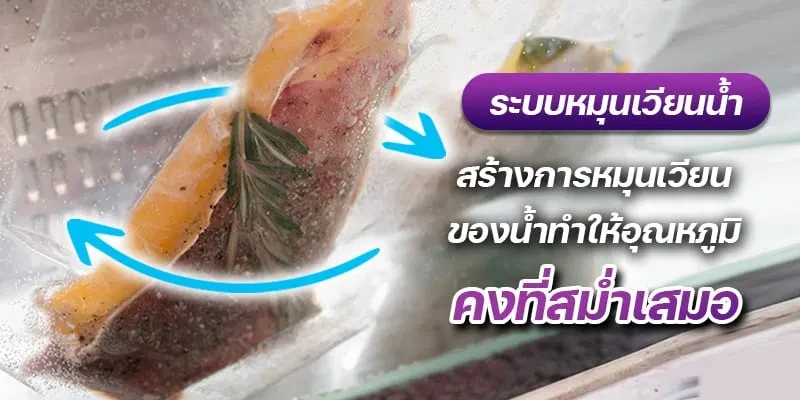 Sous vide machine – water circulating system with 120V motor เครื่องซูวี (sous vide)