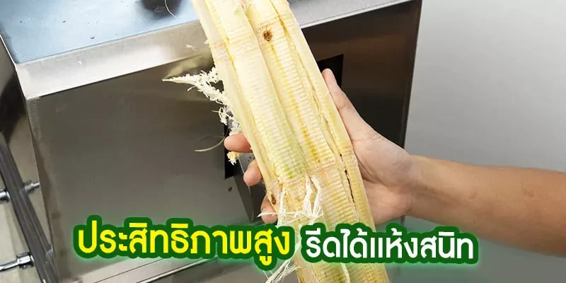 เครื่องคั้นน้ำอ้อย, เครื่องรีดน้ำอ้อย รีดได้แห้งสนิท