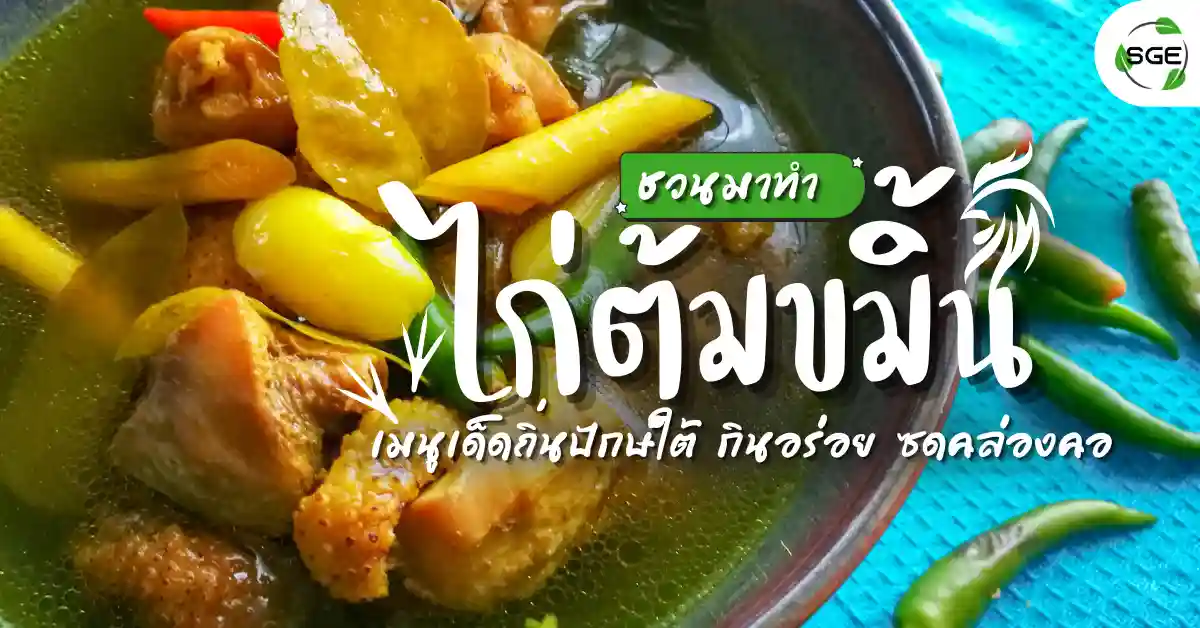 ชวนมาทำ ไก่ต้มขมิ้น เมนูเด็ดถิ่นปักษ์ใต้ กินอร่อย ซดคล่องคอ