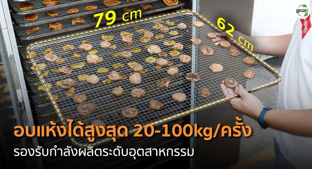 Hot-Air-Machine-GE-HEAT-20kg-100kg