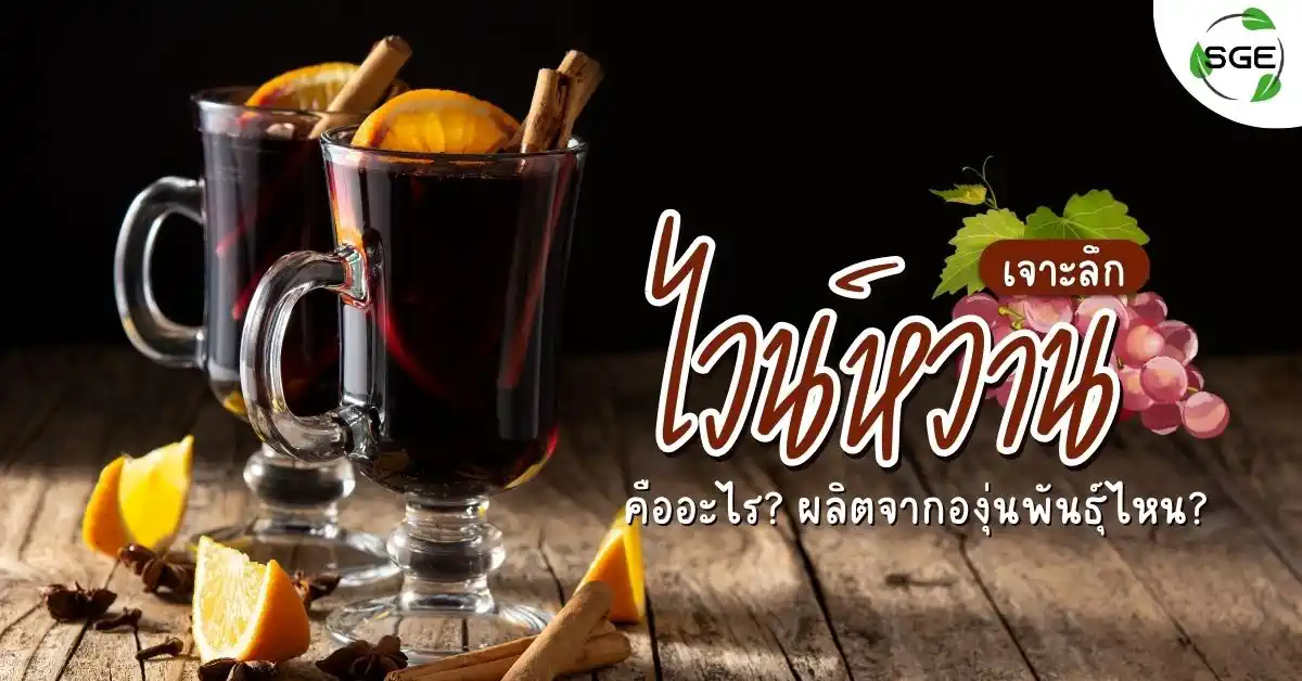 รู้จักกับ ไวน์หวาน (Sweet Wine) คือ? กินคู่กับอะไรถึงอร่อย?