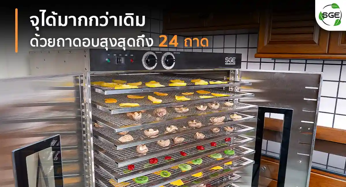 GE-ECO-1C-Hot-air-oven-Layers