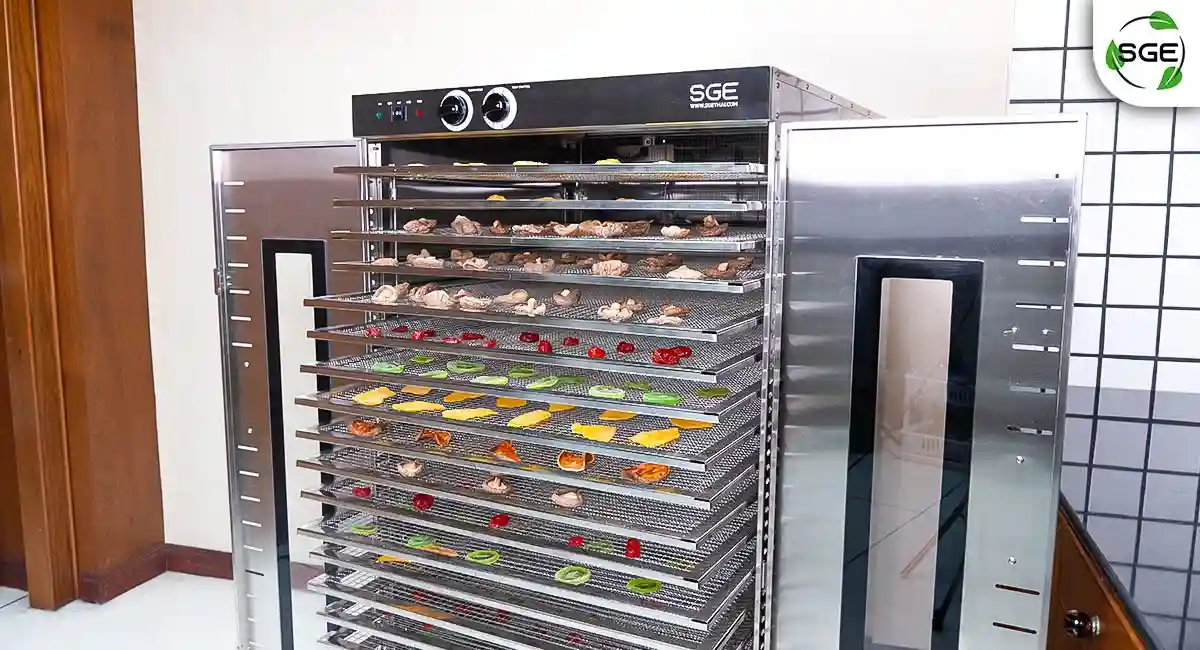 GE-ECO-1C-Hot-air-oven-REVIEW