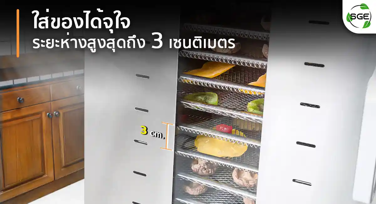 GE-ECO-2C-Hot-air-oven-GAB (1)