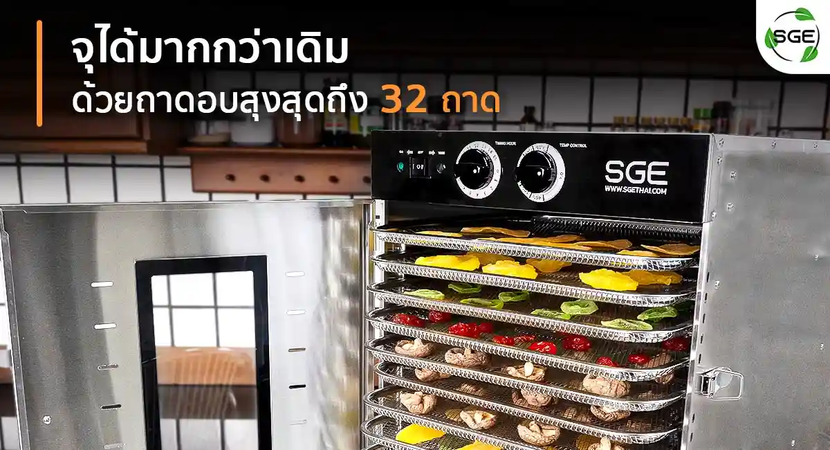 GE-ECO-Hot-air-oven-Layers-2