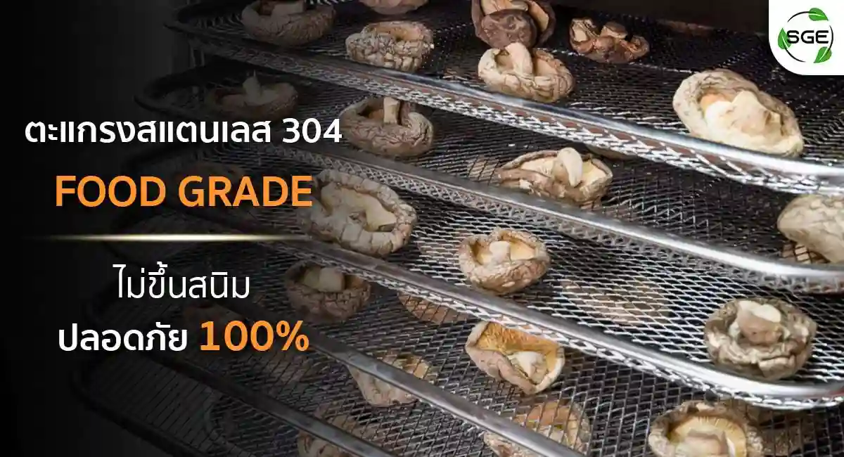 GE-ECO-Hot-air-oven-Trays-304