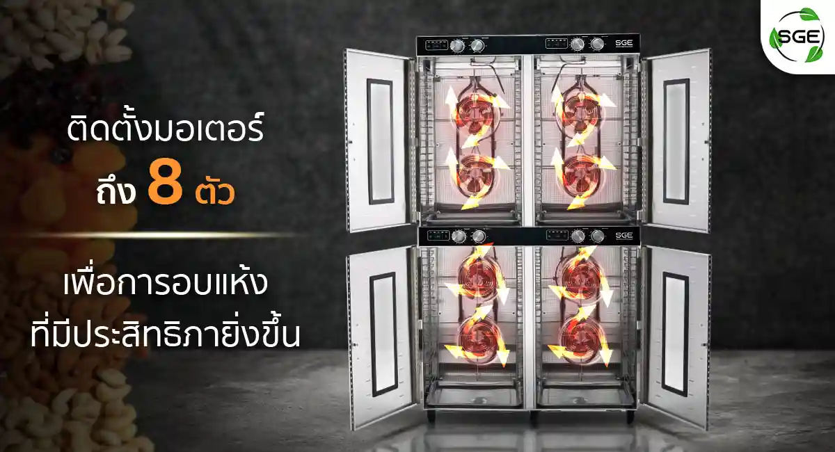 Hot-air-oven-GE-ECO-G4-8-Motors-2