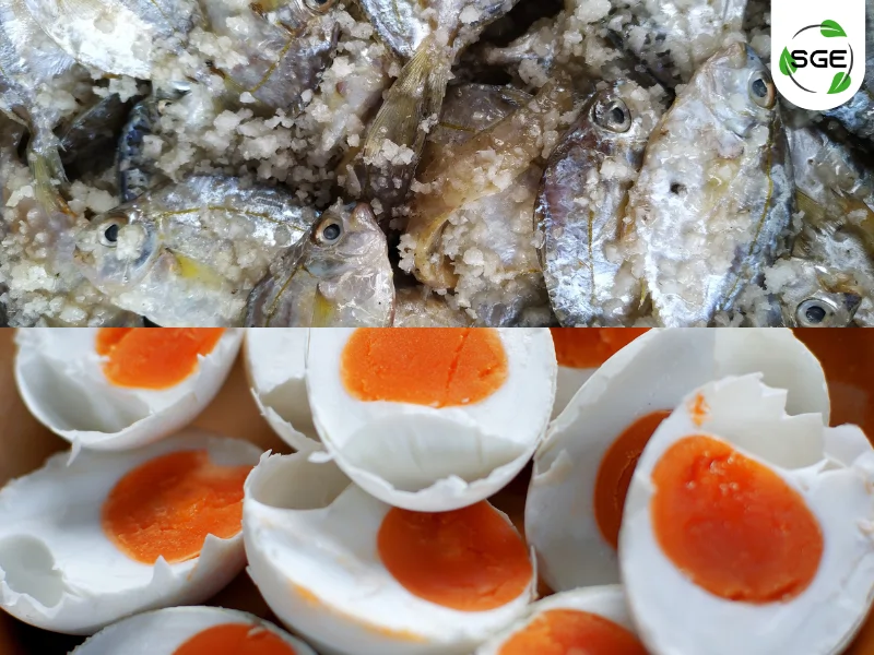 การถนอมอาหาร ด้วยการใช้เกลือ การถนอมอาหาร