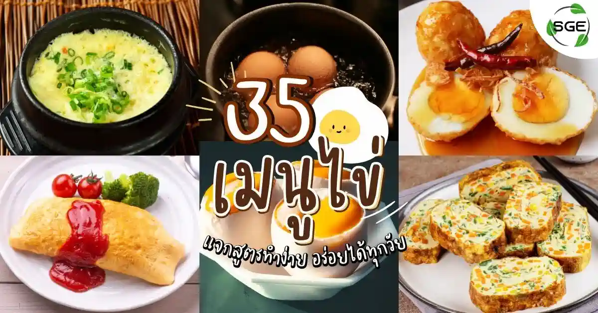 35 สูตร เมนูไข่ ยอดฮิต วิธีทำง่าย กินได้ทุกวัย ไม่มีเบื่อ