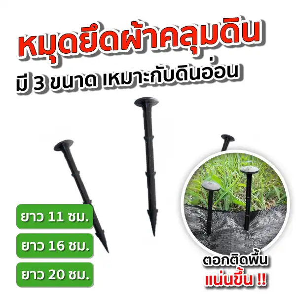 สแลนเขียว-SGE