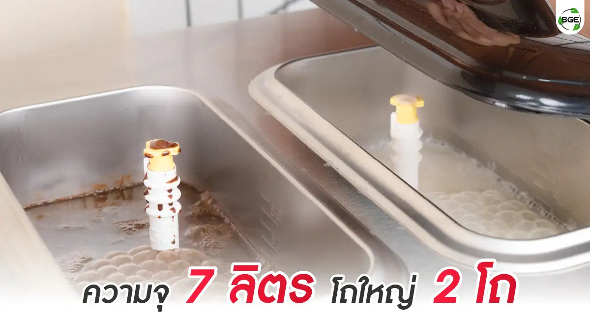 Soft serve - feture12-100