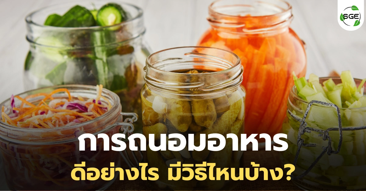 การถนอมอาหาร วิธีถนอมอาหาร และเมนูถนอมอาหารทำง่ายขายคล่อง การถนอมอาหาร วิธีถนอมอาหาร และเมนูถนอมอาหารทำง่ายขายคล่อง