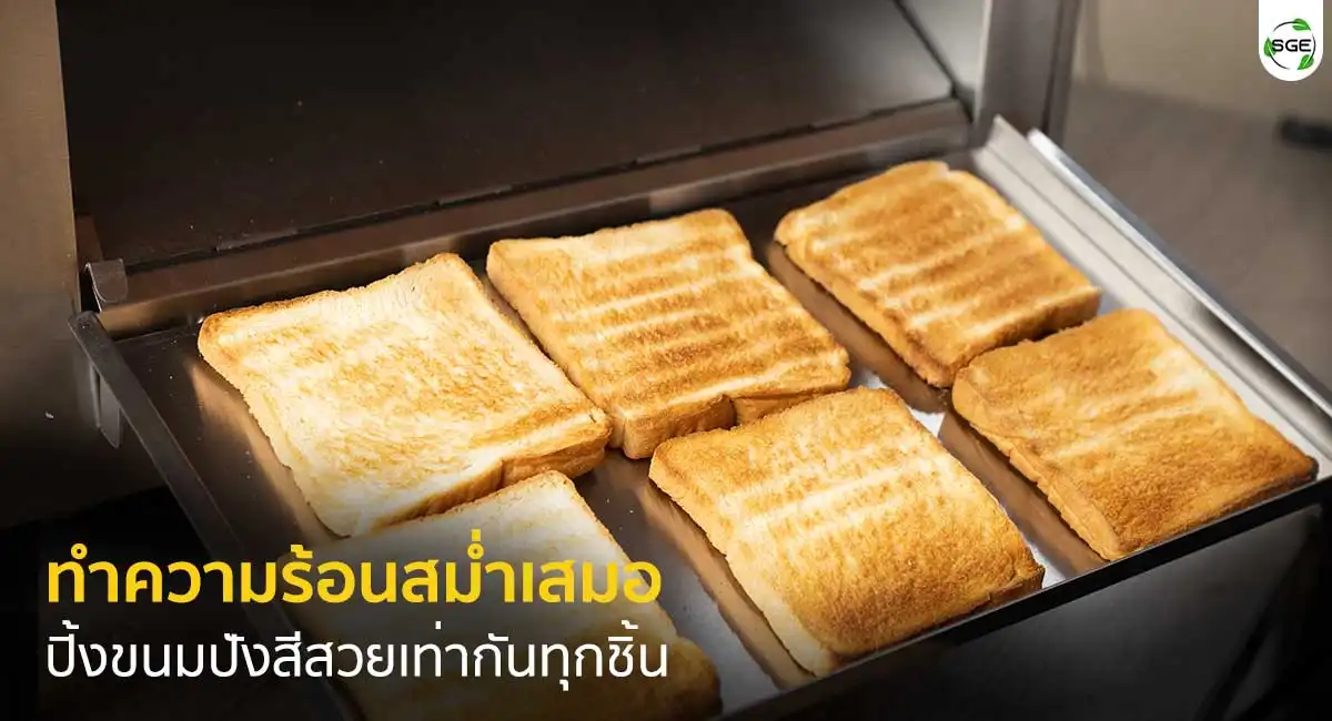 เครื่องปิ้งขนมปังสายพาน ทำความร้อนสม่ำเสมอ