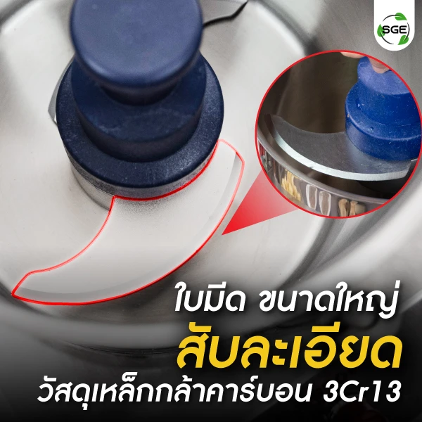 IFP-banner03-mb-100-2