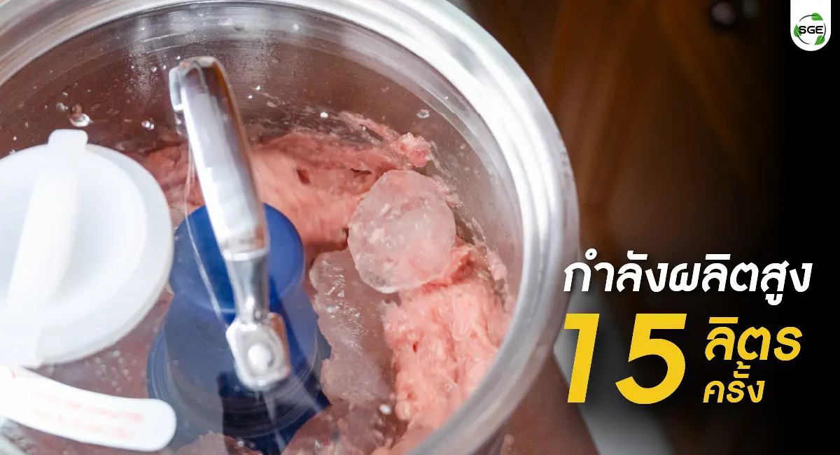 เครื่องสับผสมแบบหม้อ กำลังผลิตสูง 15 ลิตร/ครั้ง