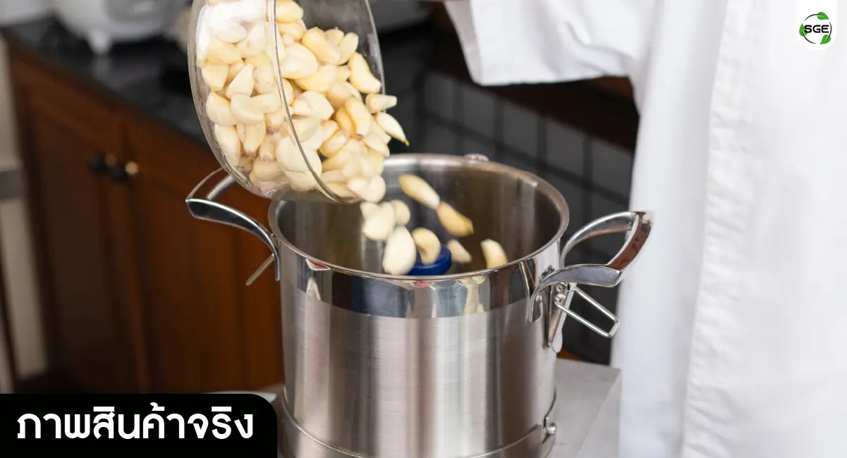 real product-mixer chopper-02-100