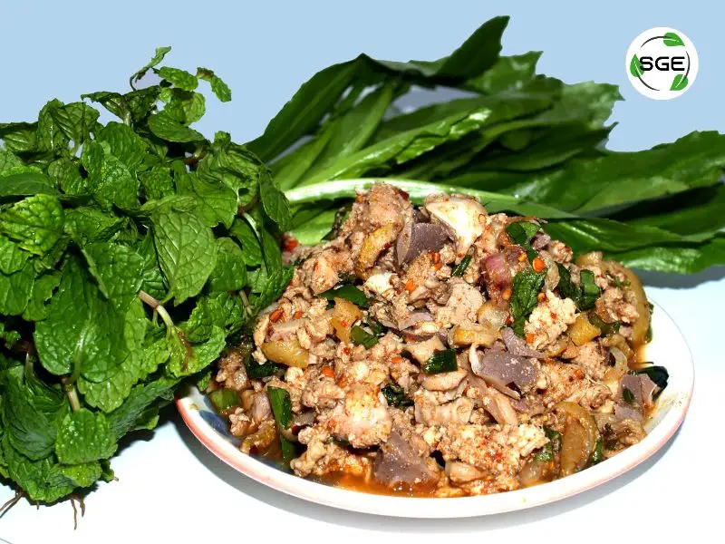 ลาบหมู สูตรอาหาร ผักชีฝรั่ง 