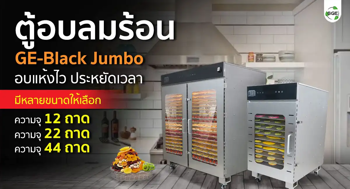 banner-GE-Black-Jumbo