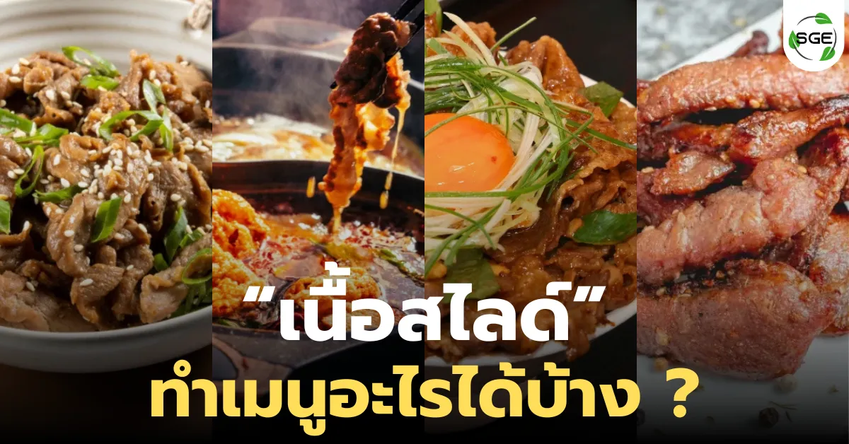 เนื้อสไลด์ ทําอะไรได้บ้าง แนะนำ 10 เมนูเนื้อสไลด์ยอดฮิต! เนื้อสไลด์ ทําอะไรได้บ้าง แนะนำ 10 เมนูเนื้อสไลด์ยอดฮิต!