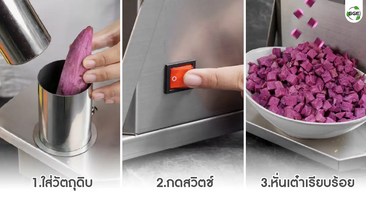 เครื่องหั่นผักลูกเต๋า Feture-VS-DICE-01-100