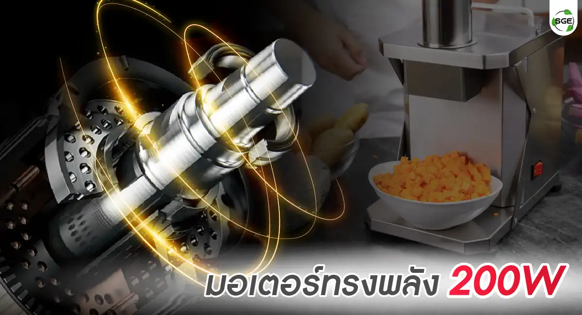 Feture-VS-DICE-03-100 เครื่องหั่นผักลูกเต๋า 