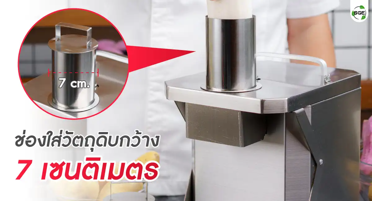Feture-VS-DICE-04-100 เครื่องหั่นผักลูกเต๋า