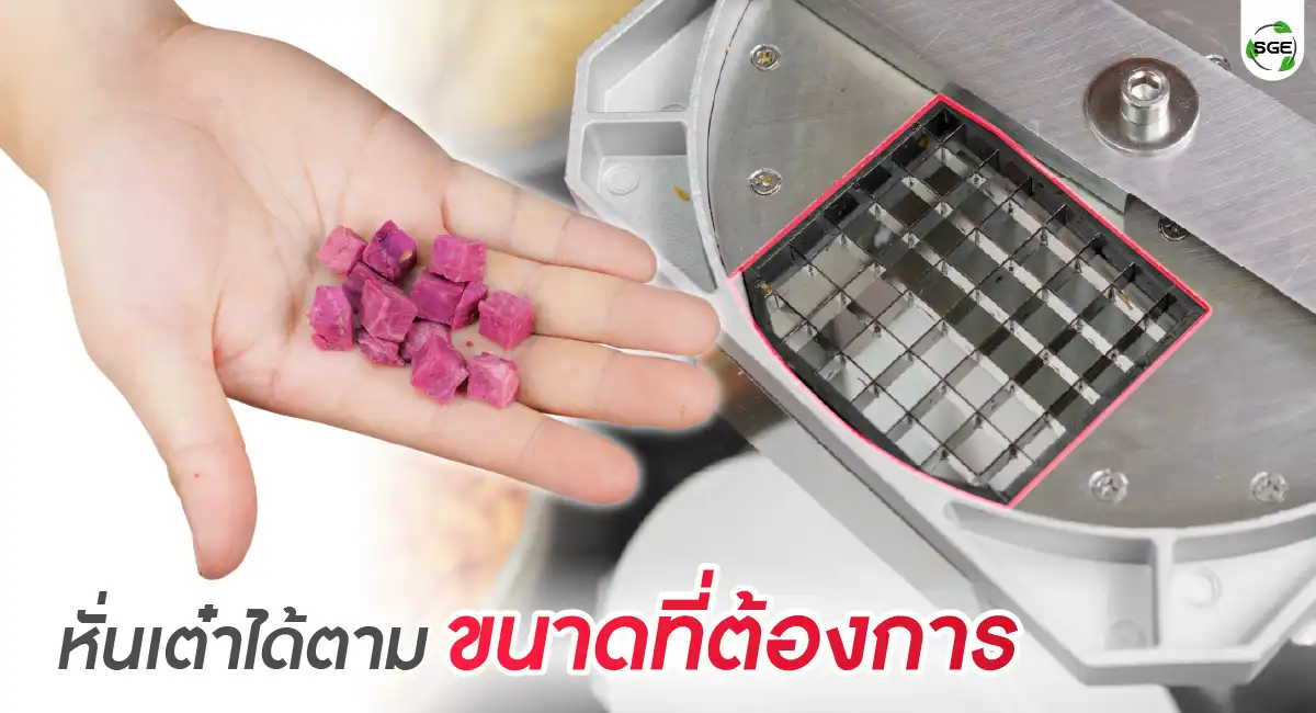 Feture-VS-DICE-05 เครื่องหั่นผักลูกเต๋า