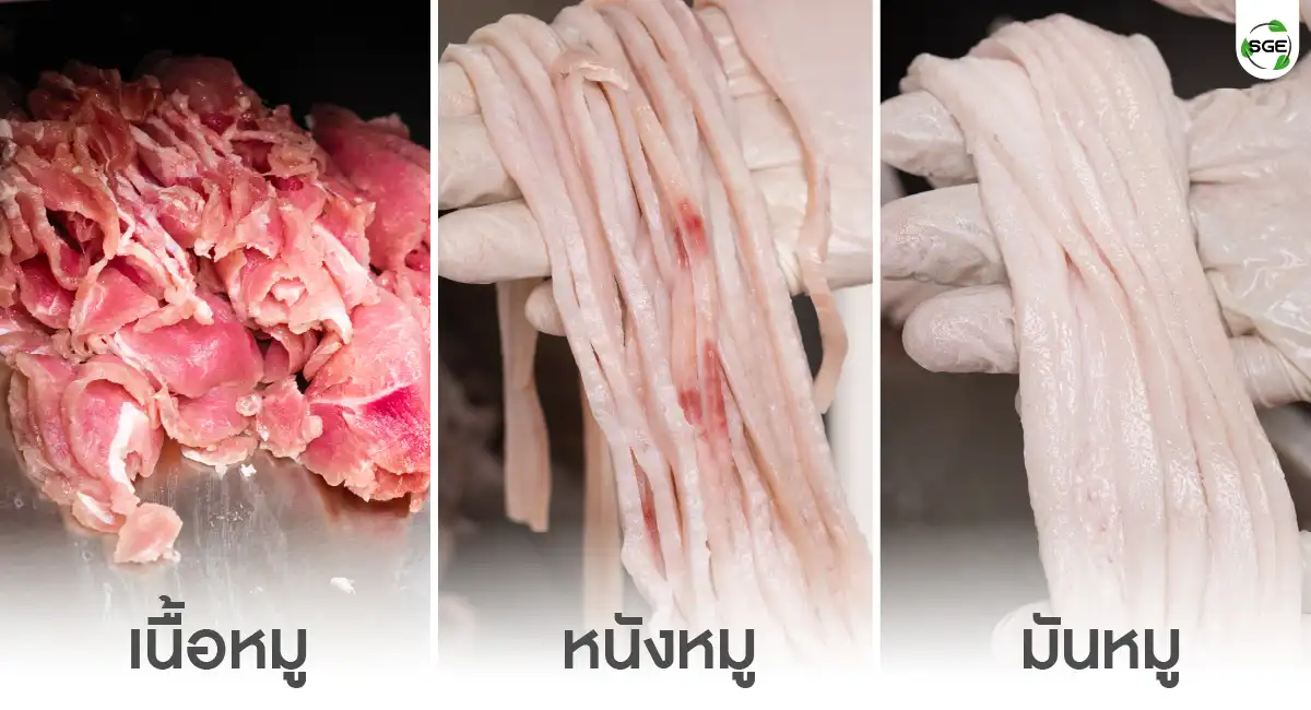 MCD-IND 600-feture05-100 เครื่องหั่นเนื้อสัตว์ เครื่องหั่นเนื้อหมู หนังหมู มันหมู