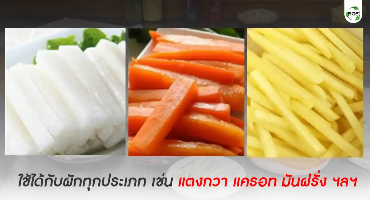 เครื่องหั่นผักแบบแท่ง VS-STICK-banner5