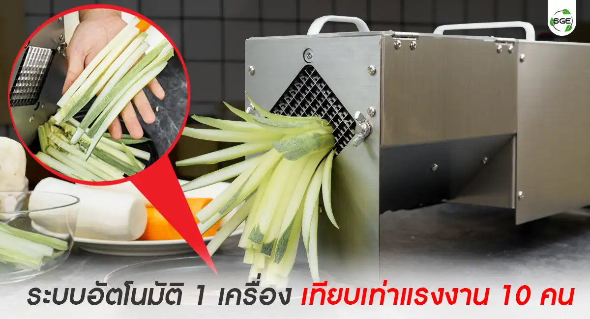 VS-STICK-banner7 เครื่องหั่นผักแบบแท่ง