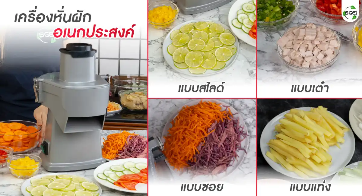 banner article-slide vegetable04-100 เครื่องหั่นผัก เครื่องหั่นผักไฟฟ้า เครื่องหั่นผลไม้