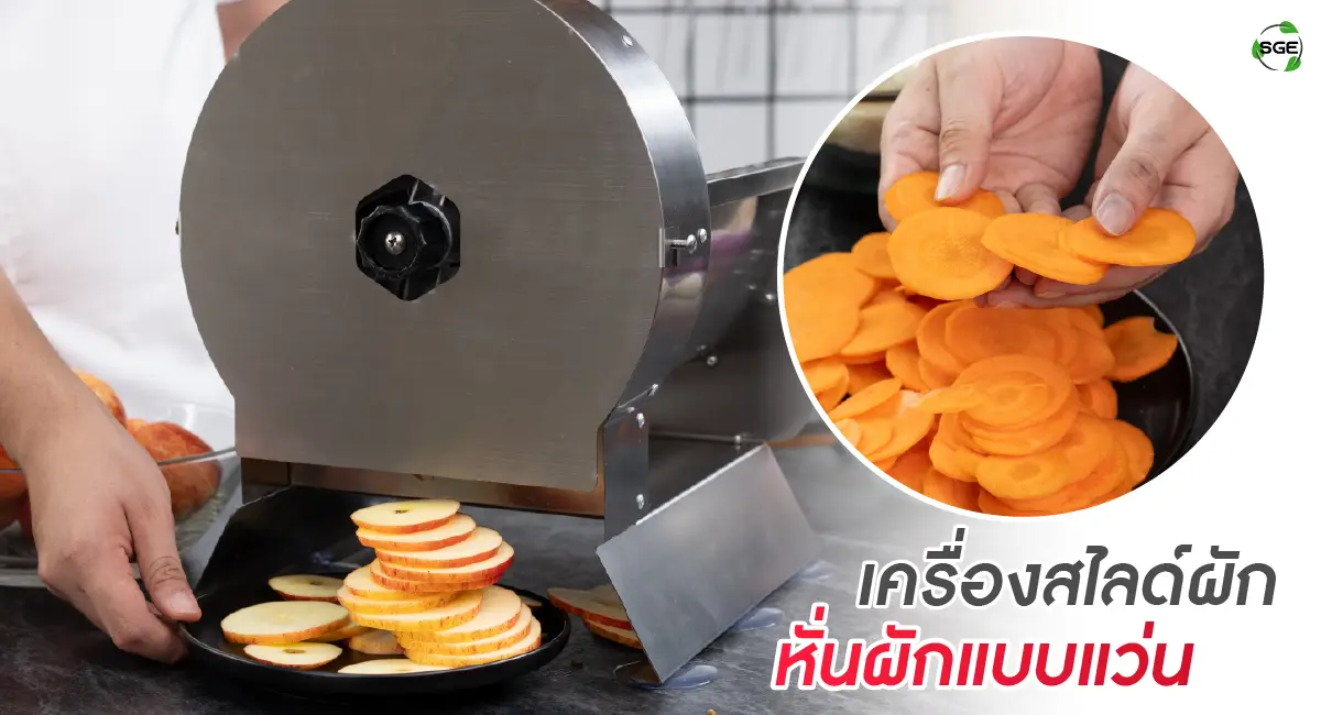 banner article-slide vegetable06 เครื่องหั่นผัก เครื่องหั่นผักไฟฟ้า เครื่องหั่นผลไม้