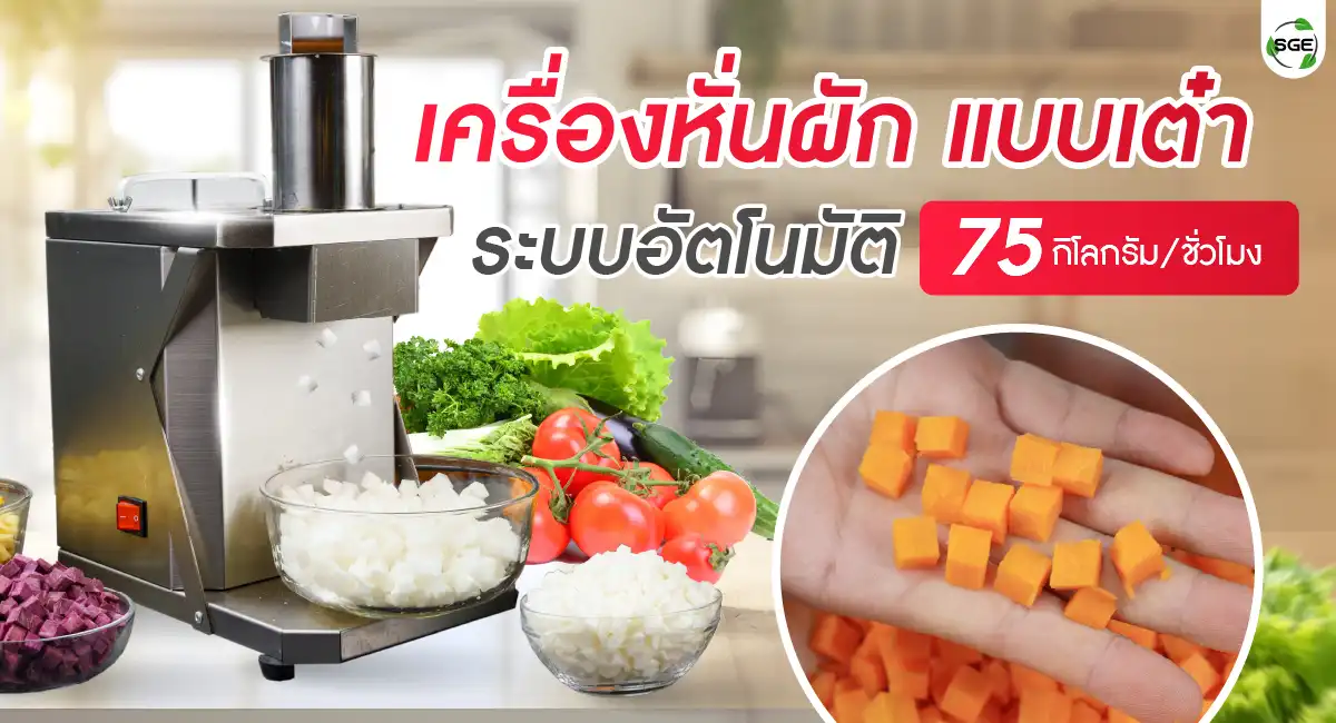welcome banner-VS-DICE-100 เครื่องหั่นผักลูกเต๋า