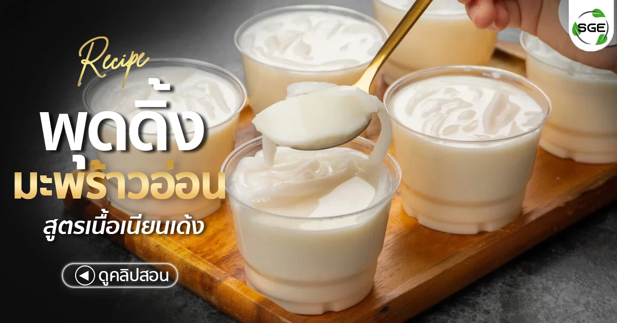 สูตรพุดดิ้งมะพร้าวอ่อน วิธีทำ coconut pudding recipe cover