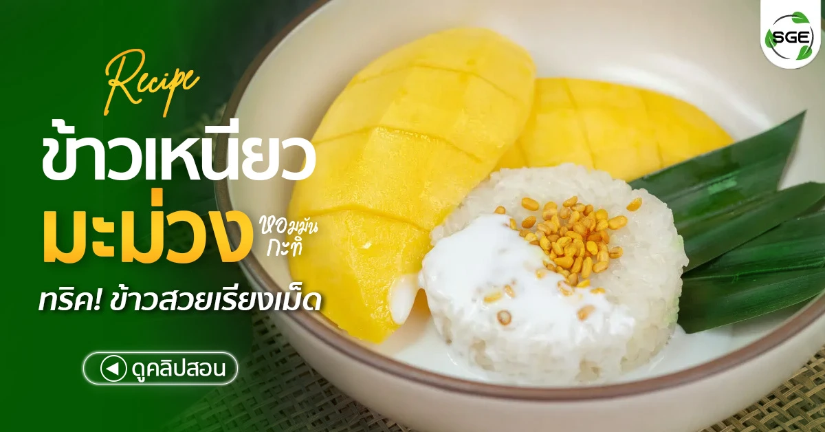 วิธีทำ ข้าวเหนียวมะม่วง สูตรข้าวเรียงเม็ด หอมหวานกำลังดี