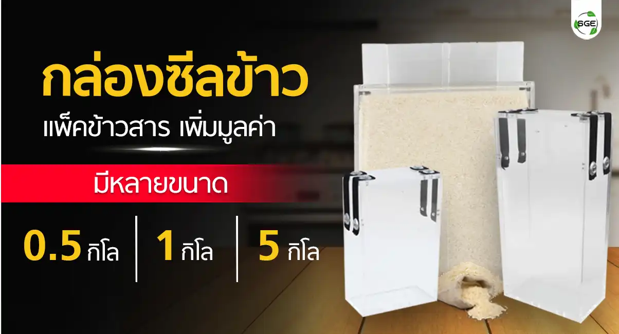 กล่องแพ็คข้าวสูญญากาศ กล่องซีลข้าว
