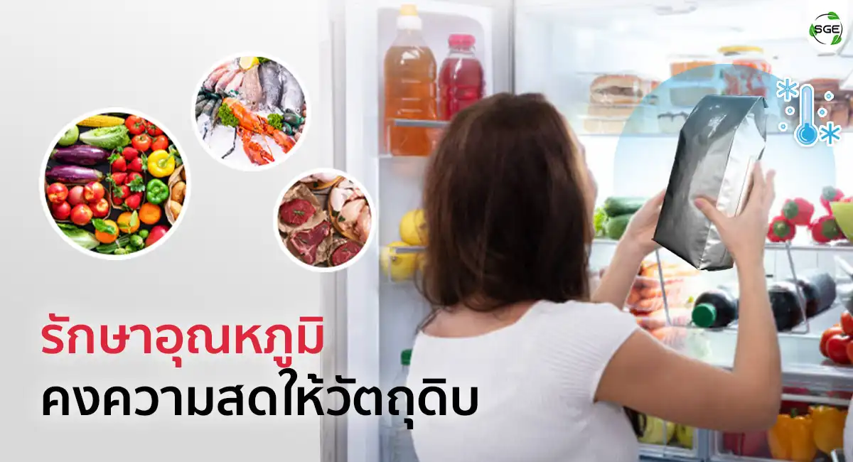 Foill-Bag-B5FI-SaveTemp-2 ถุงเก็บความเย็นไอศครีม ถุงฟอยด์ ถุงฟอยด์เก็บความเย็น