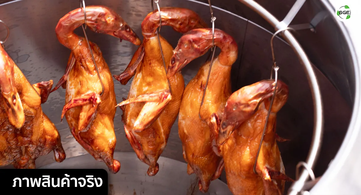 Gallery Product22 เตาอบเป็ดย่าง ภาพสินค้าจริง
