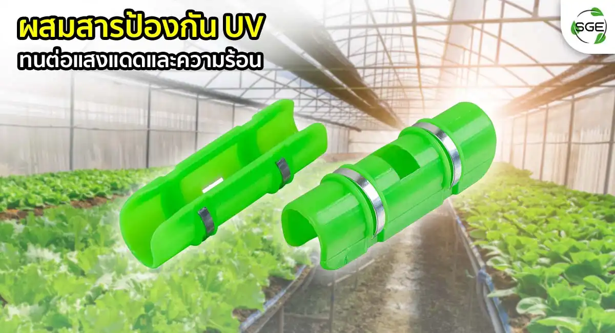 SN-CCS 05 ที่ล็อคสแลน ผสมสารป้องกันยูวี