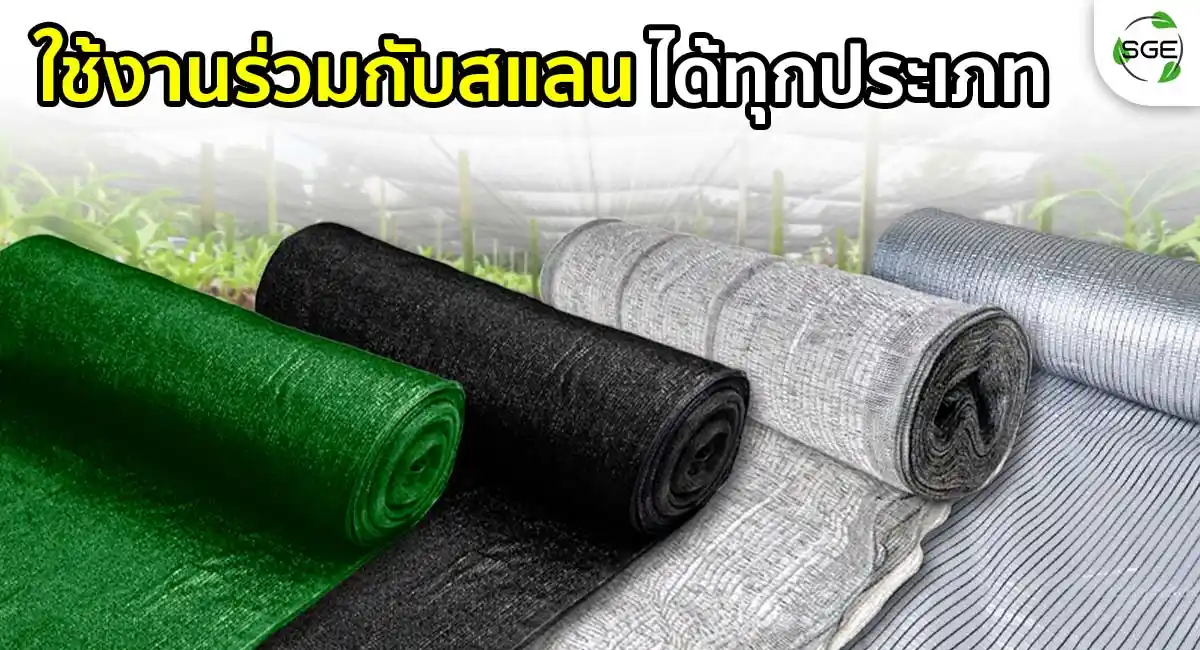 SN-CCS 06 ที่ล็อคสแลน ใช้กับสแลนได้ทุกประเภท