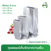 Thumnail-Product-B5FI-2 ถุงเก็บความเย็นไอศครีม ถุงเก็บความเย็น ถุงใส่ไอติมเก็บความเย็น