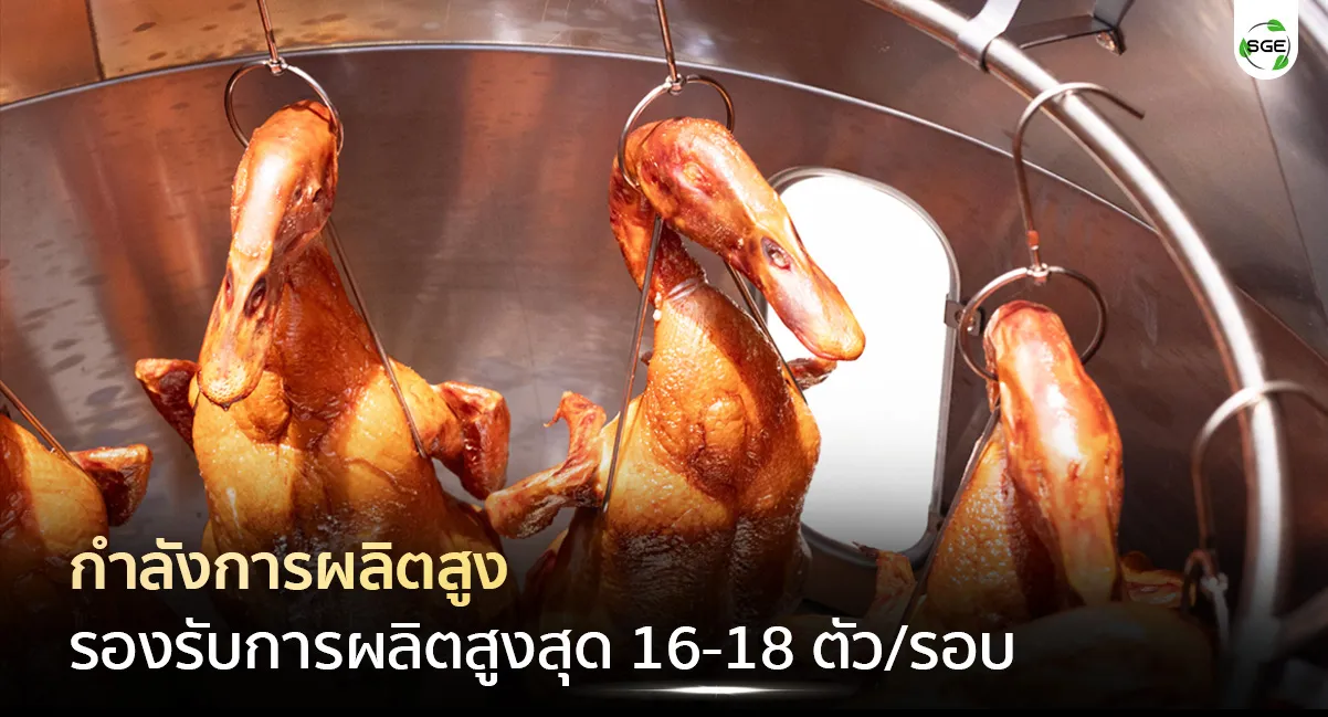Feature เตาอพอลโล่ เตาอบเป็ดย่าง กำลังการผลิตสูง