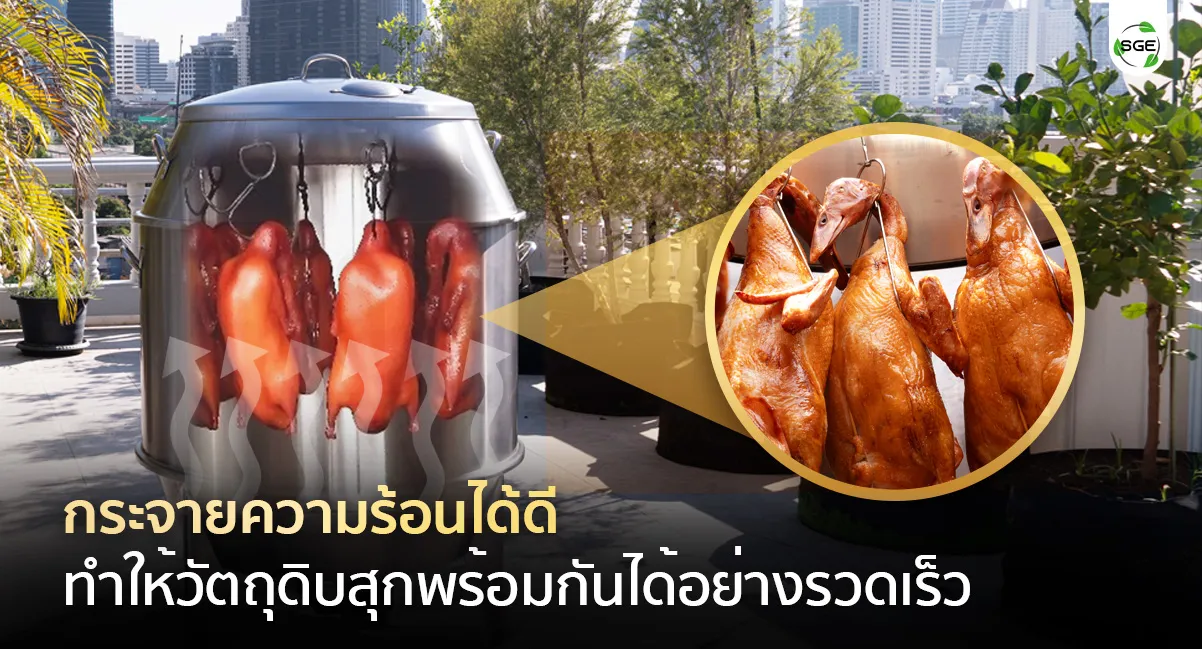 เตาอพอลโล่ เตาอบเป็ดย่าง การกระจายความร้อนทั่วถึง