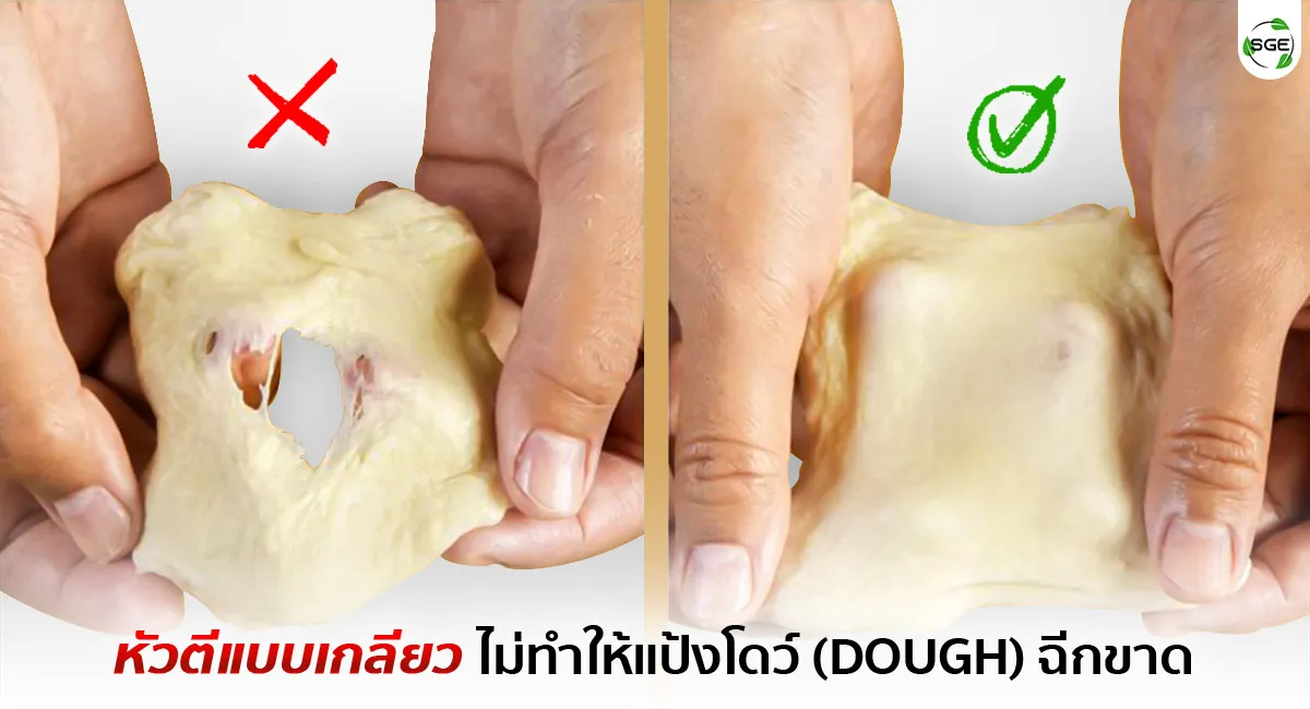 Dough-Mixer-DK10-ECO-Diffferent-Way-2
