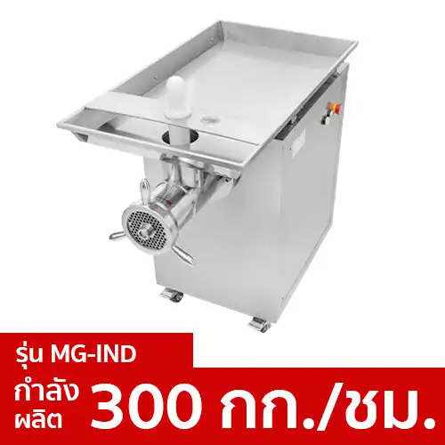 MG-IND-300
