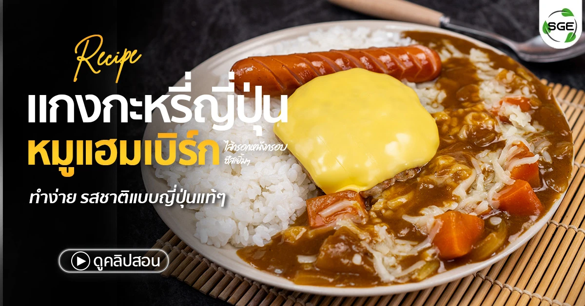 แกงกะหรี่ญี่ปุ่น-แกงกะหรี่-japanese-curry