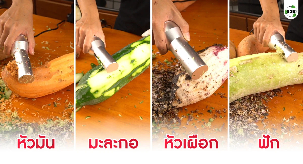 feture-electric peeler-01-100 เครื่องปอกเปลือก