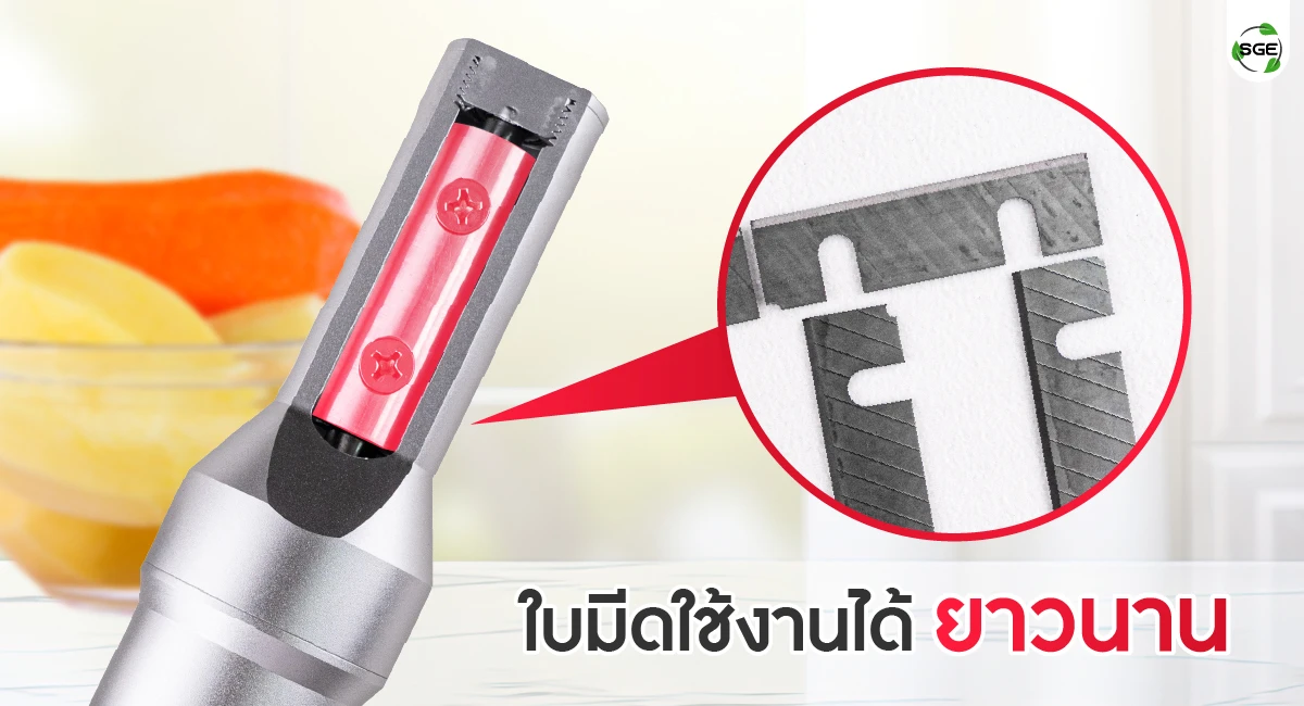 feture-electric peeler-04-100 เครื่องปอกเปลือก
