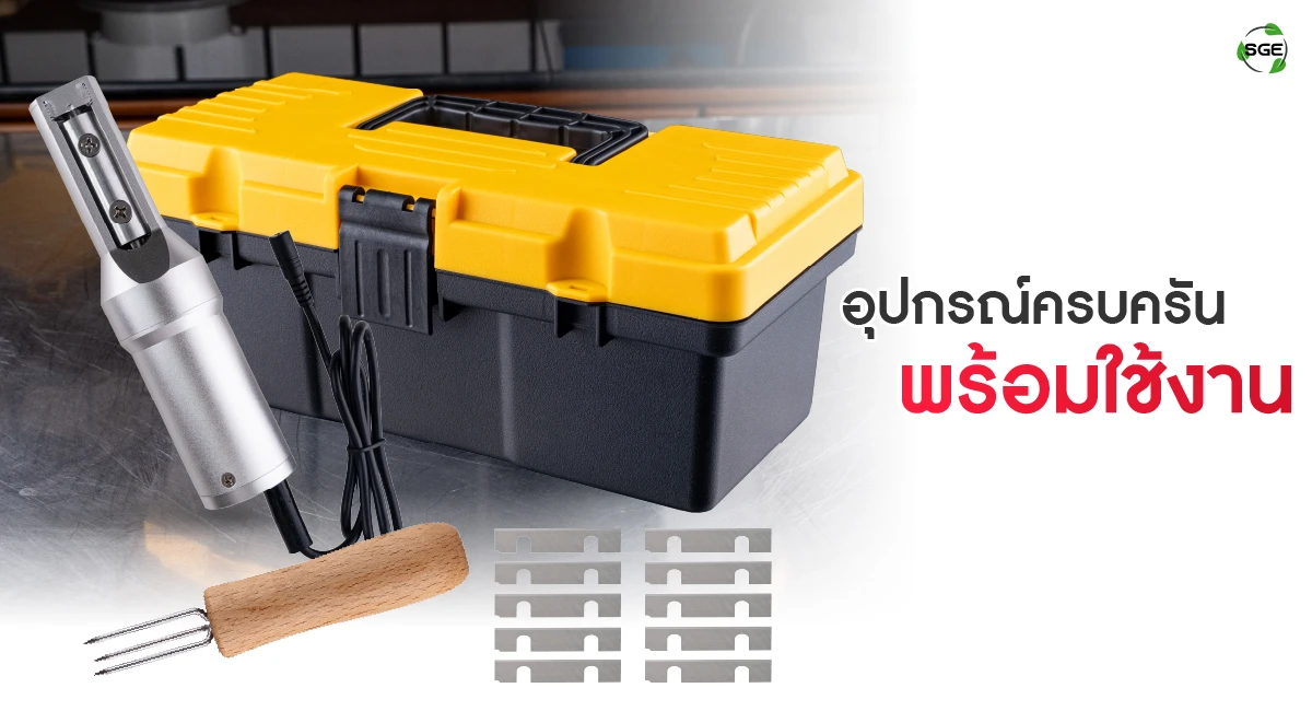 feture-electric peeler-06-100 เครื่องปอกเปลือก